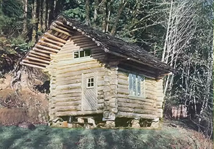The Norwegian Cabin