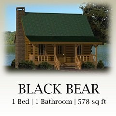 Black Bear